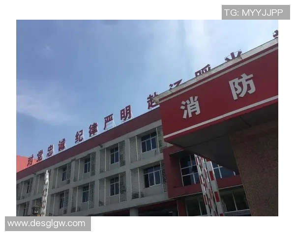 重庆攀岩队整体压制革新之路探索与实践的深度剖析 重庆攀岩队整体压制革新之路探索与实践的深度剖析