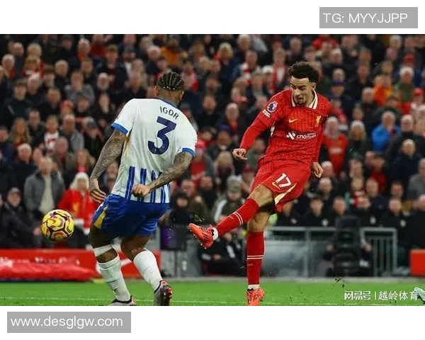 南安普顿主场迎战布赖顿双方争夺英超宝贵积分之战 南安普顿主场迎战布赖顿双方争夺英超宝贵积分之战