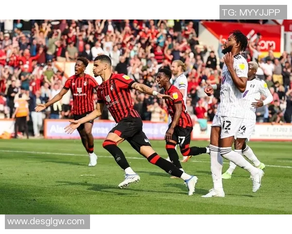 博尔顿与维拉精彩对决足球直播全程回顾与分析 博尔顿与维拉精彩对决足球直播全程回顾与分析