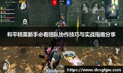 和平精英新手必看团队协作技巧与实战指南分享