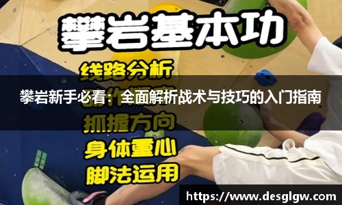 攀岩新手必看：全面解析战术与技巧的入门指南