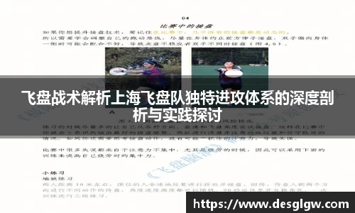 飞盘战术解析上海飞盘队独特进攻体系的深度剖析与实践探讨